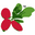 Miracle Fruit USA | Buy Miracle Fruit Berries