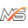 Masters of Internet Strategy Web Design & Branding