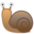 NZ Mollusca