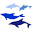 The Shark Bay Dolphin Project