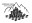 Montana Chess Association – State Chapter Affiliate of the United States Chess Federation. Promoting Regional Tournaments, Scholastics, and Chess Education.