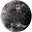 MOONTRIBE