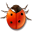 Munis Entomology & Zoology Journal - Home Page