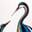 Murano Glass Shop® | Finest Glass Creations