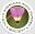 frontpage | North American Rock Garden Society