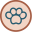Taking care of your pet - Nasdn