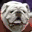 NatesDawgs.com