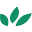 Espace professionnels - Natural Source Europe