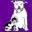 Holistic Vet, Homeopathic Vet, Acupuncturist | Natural Vet for Pets