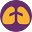 Home - The National Board for Respiratory Care