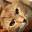 Cat Specialist | New England Cat Care | United States