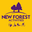 New Forest Activities | Fun Outdoor Adventure in Hampshire