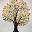 Tree of Life Acupuncture - Acupuncture Union Square NYC