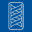 National Foundation for Infectious Diseases - Healthier Lives for All Through Effective Prevention and Treatment