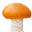 Northern Ireland Fungus Group – Learn all about fungi in Northern Ireland