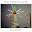 North Mississippi Allstars, Still Shakin' available June 6th