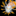 nudibranch.org