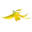 Plant Finder and Gardening Guide | Nurseries Online USA