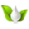 Testosterone Cream and Supplements For Sale | NutriVera Naturals