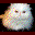 Persian and Himalayan Cats