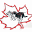 Dog Sled Tours and Rides | October Siberians | Vermont