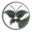 Ojibwa Tea of Life - Ancient Elements - Best Wellmune Beta 1, 3d Glucan