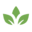 Culinary Tours - Food Travel, Vacations, Trips & Recipes OLDWAYS – Cultural Food Traditions