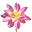 Home | Optimal Health San Francisco