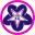 OPTIMARA: African Violets, House Plants and Care Products