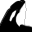 Biologie des orques | Killer whale biology, Orcinus orca