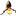 Orchid Board - Most Complete Orchid Forum on the web !