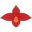 Buy Orchids and Orchid Supplies - OrchidWeb