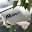 River rafting, adventures & river trips in Leavenworth & Seattle