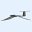 Wie Ornithopter fliegen