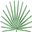 The European Palm Society