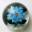 Glass Paperweight Paperweights - Allan's Paperweights - Paperweights.com