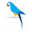 Parrot Software Home Page