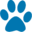 Pawcurious: With Veterinarian and Author Dr. V – Celebrating the truth that pets make people better.