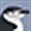 PenguinWorld's Home Page