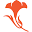 Vineyards & Classical Winemaking | Peter Michael Winery