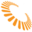 Phoenix Networks