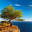 Accueil - Photo-Paysage.com Photo-Paysage.com
