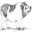 Pig Placement Network