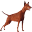 Pinserella's - Kääpiöpinseri-kennel Pinserella's