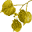 PlantExplorers.com™ - The adventure is growing™