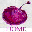 Plum Publications: Martial Arts Newsletter, Books & Videos