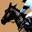 Weatherbys Point-to-Point