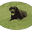 www.pondvalleylabradors.com