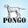 PONGO: Israeli T-shirts, Hebrew, IDF, Krav Maga & more, Jewish gifts.