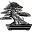 Bonsai Society of Portland